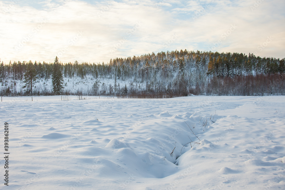 Snow covered meadow with mountain in the background Snow covered meadow with mountain in the background