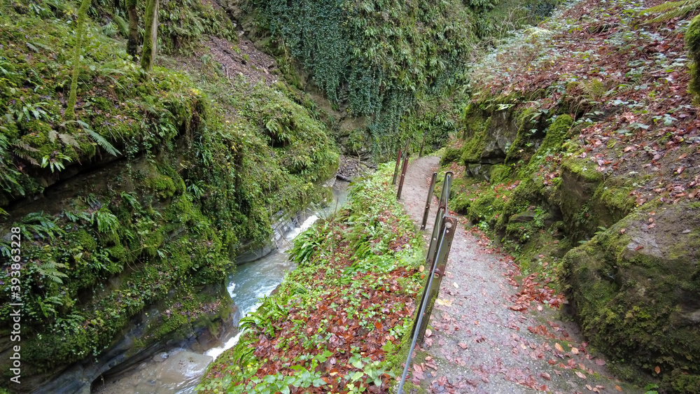 Fototapeta premium Les Gorges du Chauderon, Montreux, Switzerland. 