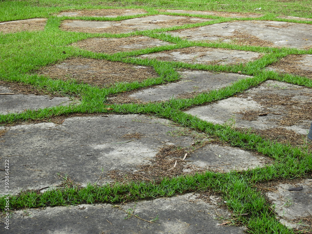 abandoned concrete floor with green grass on the lawn abandoned concrete floor with green grass on the lawn