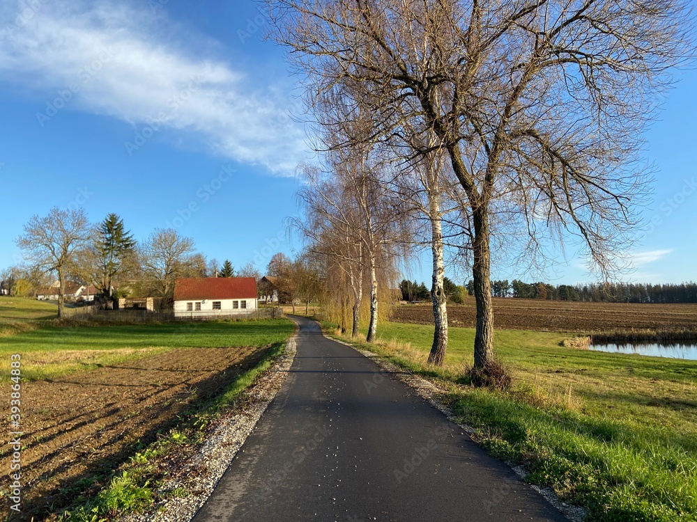 Obraz premium spring