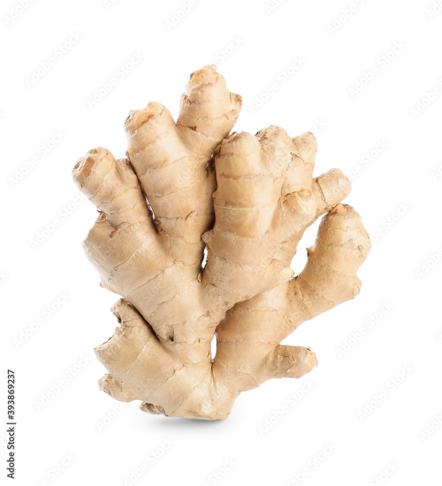 Whole fresh ginger root isolated on white Whole fresh ginger root isolated on white