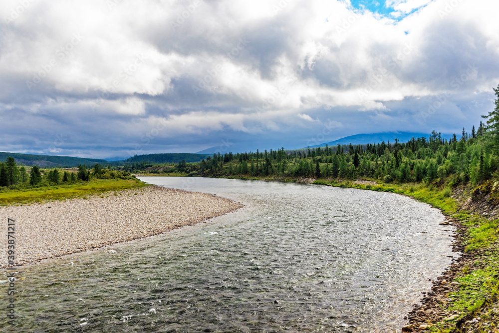 Obraz premium northern river flowing among the rocks in a forest area