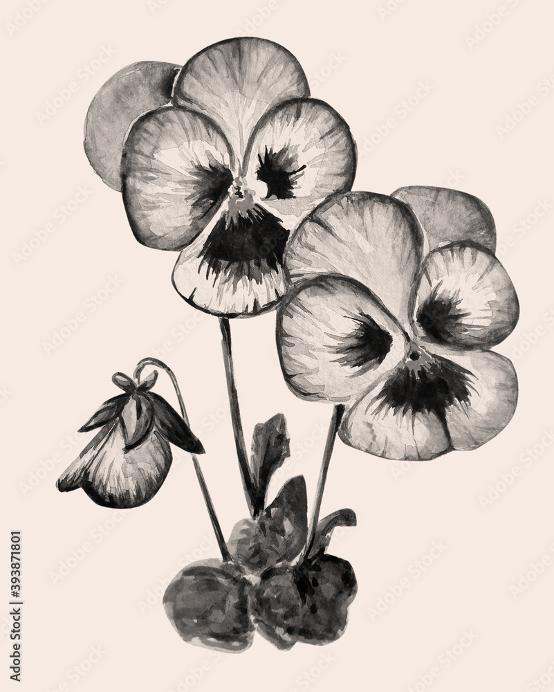 Aquarelle Hand drawn of violet flower illustrati Aquarelle Hand drawn of violet flower illustrati