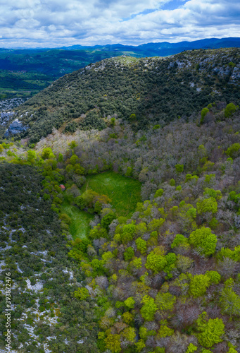 Beech forest in springtime, Irias forest, San Pedro de Soba, Alto Ason, Soba Valley, Cantabria, Spain, Europe photo