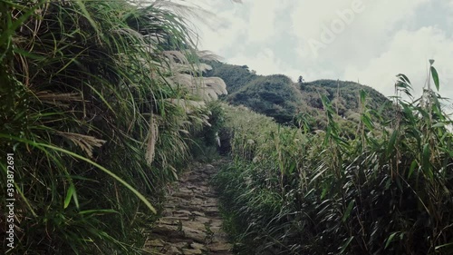 Oct 31, 2020. Shoot at Xiaoyoukeng trail in Yangmingshan National Park in Taiwan. Xiaoyoukeng is known for fumaroles, hot springs, sulphur crystals. In autumn, Yangmingshan is covered with miscanthus. photo