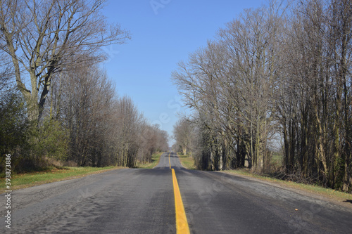 Wallpaper Mural road in the countryside Torontodigital.ca