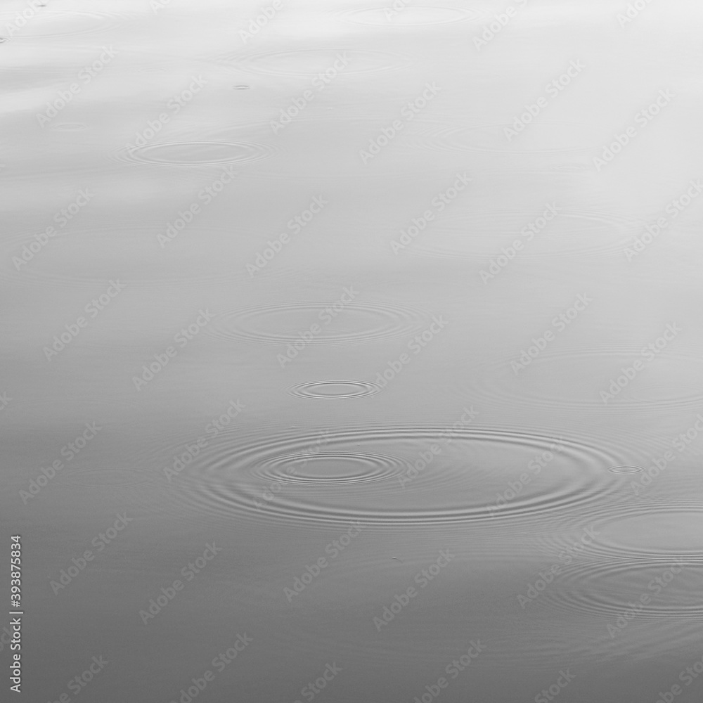 ripple of rain drops falling on the water surface ripple of rain drops falling on the water surface