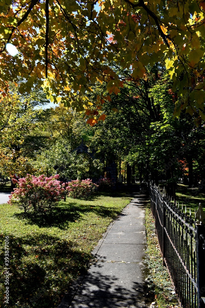 The entrance to Montmagny cemetery in autumn The entrance to Montmagny cemetery in autumn