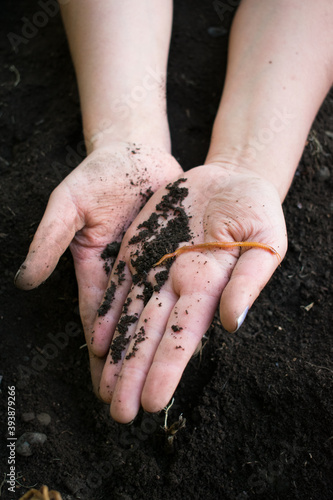 hands seeds in soil
