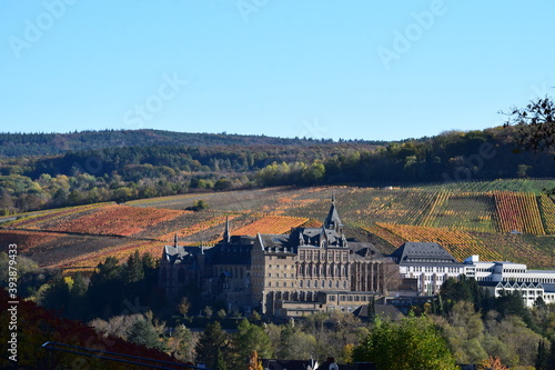 bunte Weinberge bei Bad Neuenahr-Ahrweiler im November mit Blick über Kloster und Shcule Calvarienberg photo