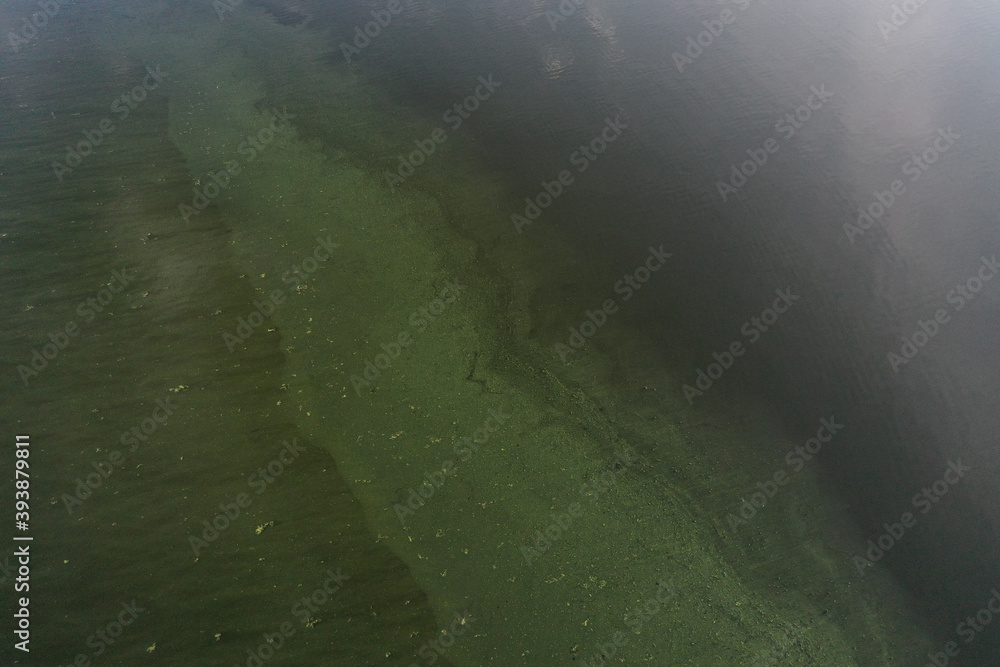 dirty water in modern lakes, ecology is dying dirty water in modern lakes, ecology is dying