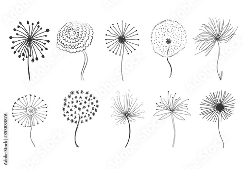 Doodle fluffy dandelions. 