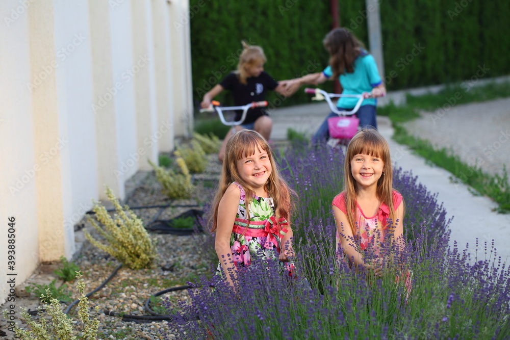 Obraz premium Girl on a bike near lavender