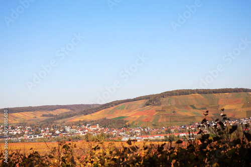 Vineyards in Autumn, View from the Wartberg, Heilbronn, Baden-Württemberg, Germany, Europe © Marc Stephan