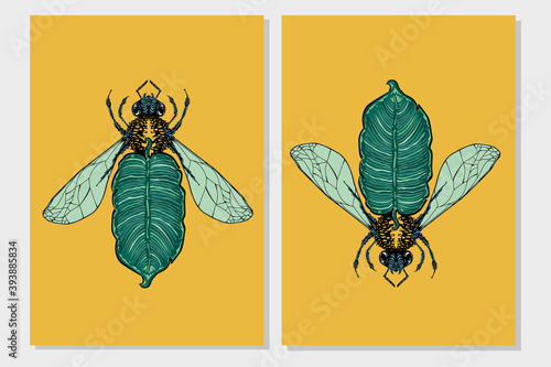 Bee and palm leaf. Flora and fauna vintage print. Tattoo style illustration print with plant and bug.