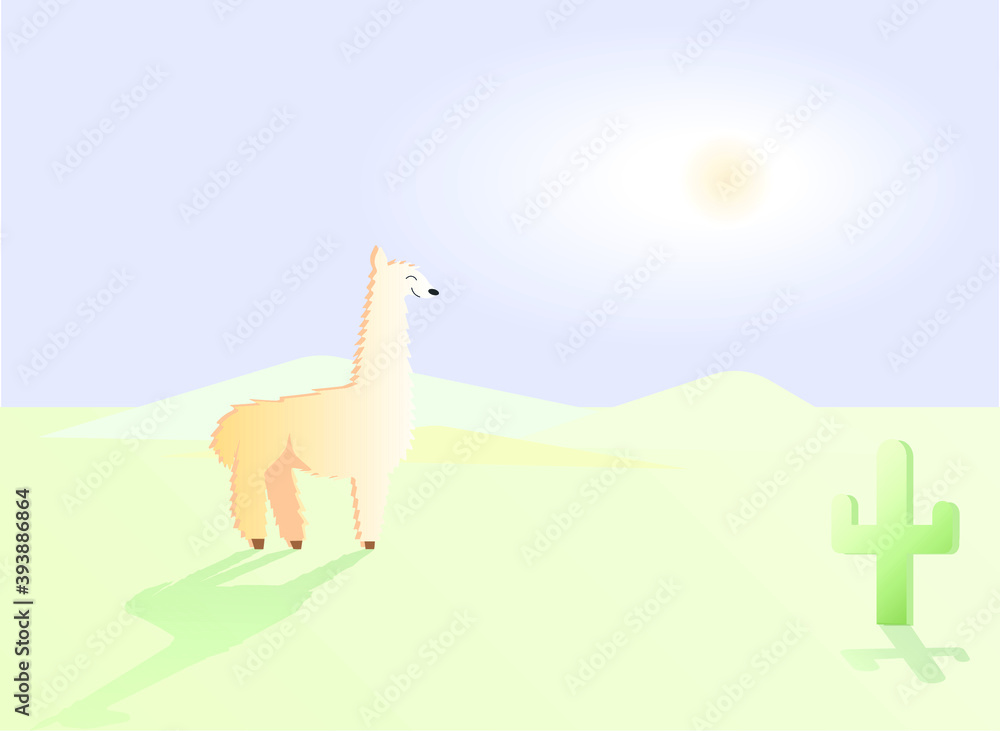 Fototapeta premium Lama is enjoying a summer day