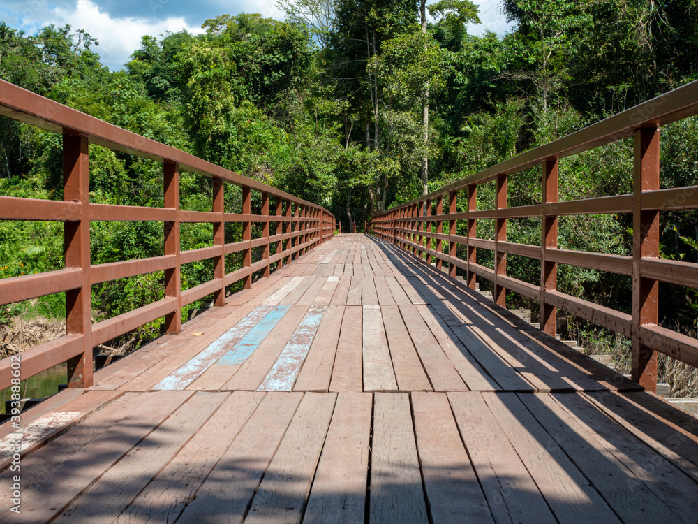 A long wooden bridge in the middle of the forest