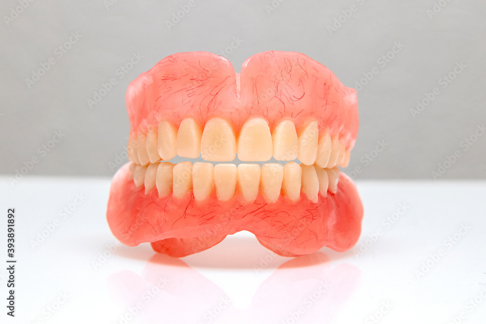 Obraz premium Denture jaw.Denture. Full denture with clipping path.