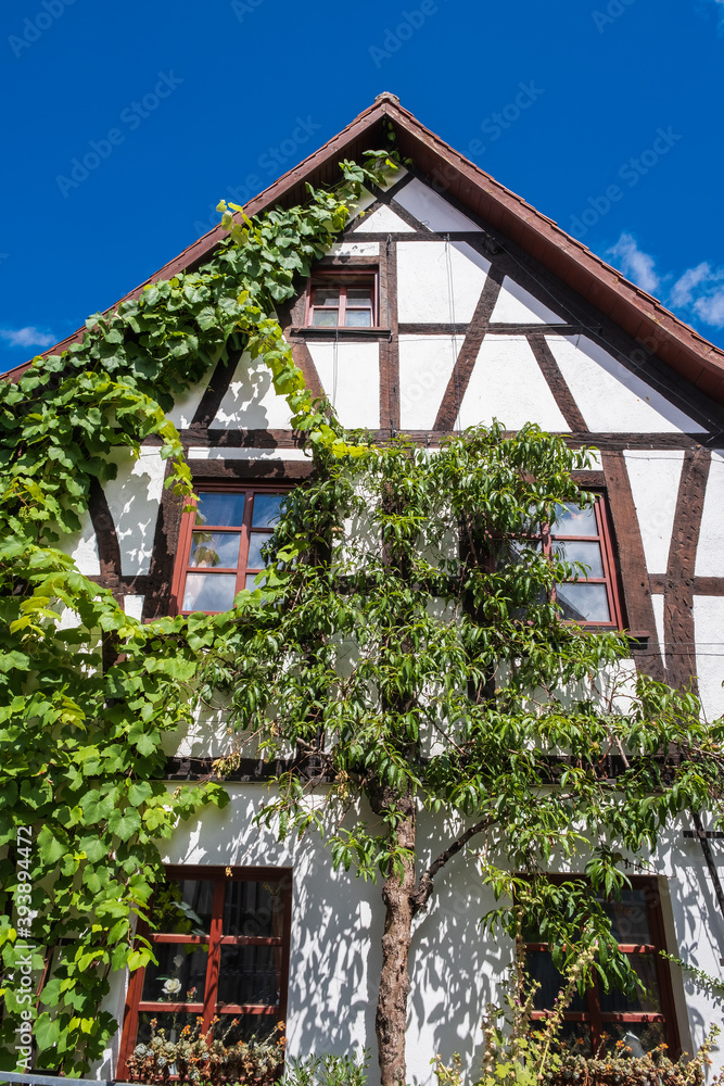 Facade of a half-timbered house overgrown with plants in the old town of Bad Soden / Deuschland am Taunus Facade of a half-timbered house overgrown with plants in the old town of Bad Soden / Deuschland am Taunus