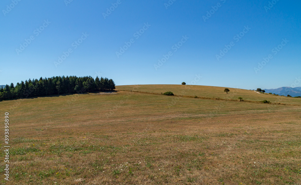 Obraz premium Lungo il sentiero 109AG da Poggio San Romualdo a Castelletta nelle Marche