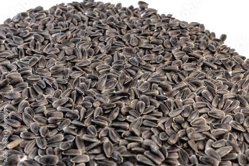 Obraz na plátně Sunflower seeds on white background