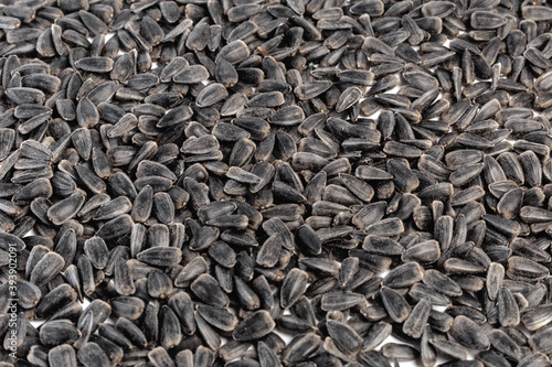 Fotografie Sunflower seeds on white background