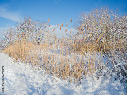 Winter in Hannover Bemerode