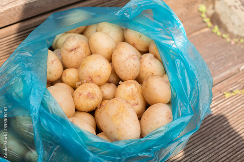 Young freshly picked potatoes in in a blue package in the sun.