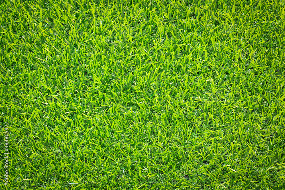 Fototapeta premium Artificial Grass background