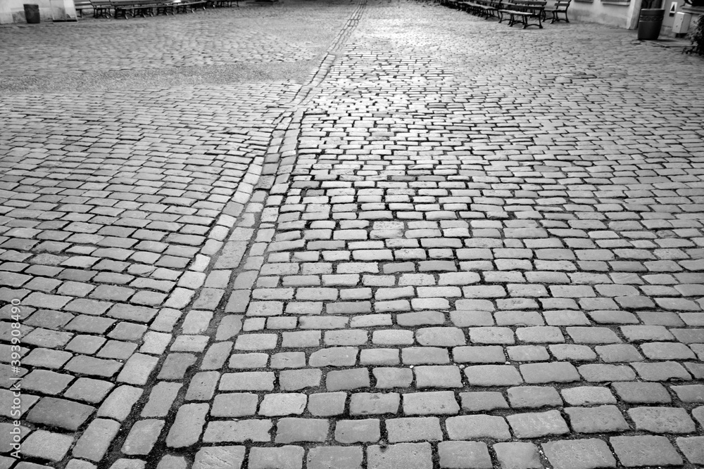 Cobbled European street. Paving with blurred background. Cobblestones in the sunlight.