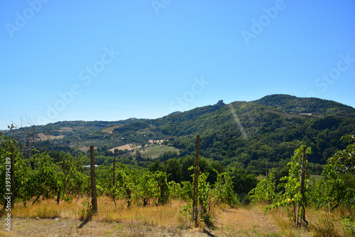 Fototapeta Naklejka Na Ścianę i Meble -  Una soleggiata e verdeggiante vista della Valconca e in lontananza l'imponente Rocca Malatestiana di Montefiore Conca