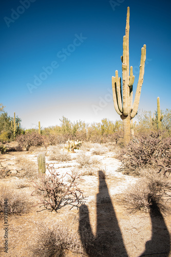 Ominous but Promising Saguaro Shadow Desert Landscape 