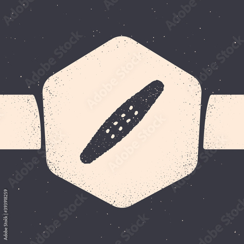 Grunge Nail file pet icon isolated on grey background. Professional treatment at home grooming for pet. Monochrome vintage drawing. Vector.