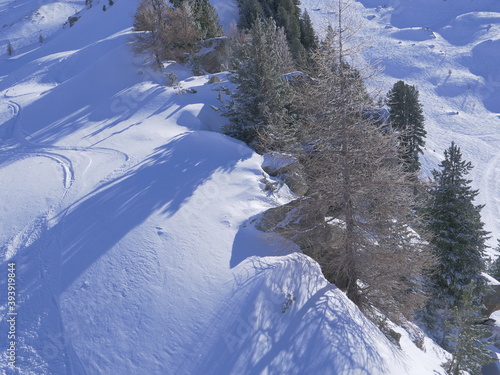 Some trees in the french alps at Grands Montets. (near Chamonix, february 2020) photo