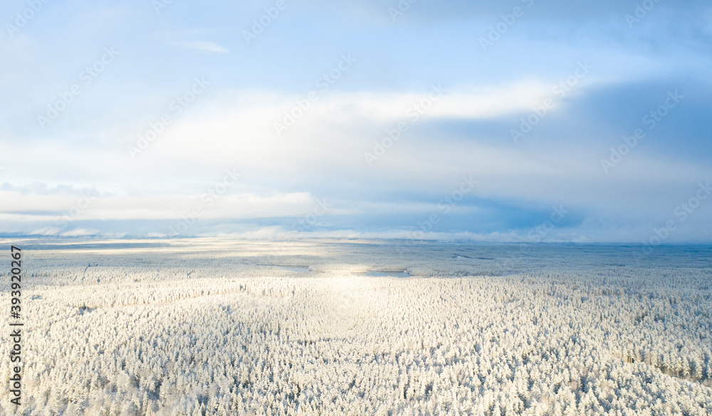 Aerial view of a winter snow covered pine forest. Winter forest texture. Winter landscape with clouds. Snow covered forest. View from above Aerial view of a winter snow covered pine forest. Winter forest texture. Winter landscape with clouds. Snow covered forest. View from above