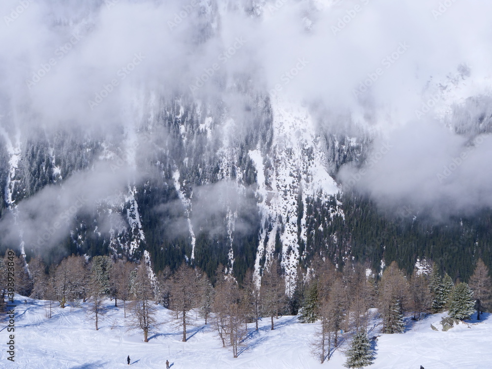 Some trees in the french alps at Grands Montets. (near Chamonix, february 2020) Some trees in the french alps at Grands Montets. (near Chamonix, february 2020)