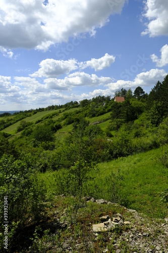 Das Saaletal  die Weinberge und Muschelkalkfelsen am Naturschutzgebiet Hammelberg bei Hammelburg   Landkreis Bad Kissingen   Unterfranken Franken  Bayern  Deutschland