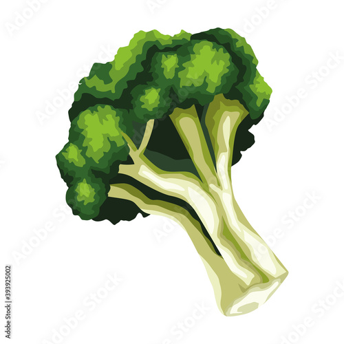 fresh broccoli vegetable healthy icon