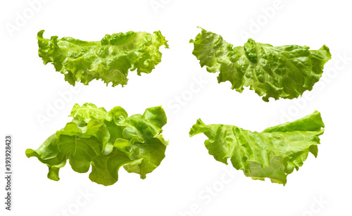 Fényképezés Fresh lettuce leaves isolated on white background
