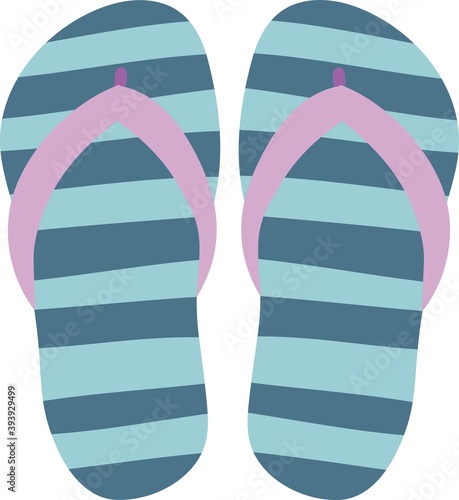 Flip flops isolate on a white background. Slippers icon.