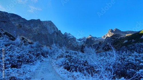 snow covered mountains