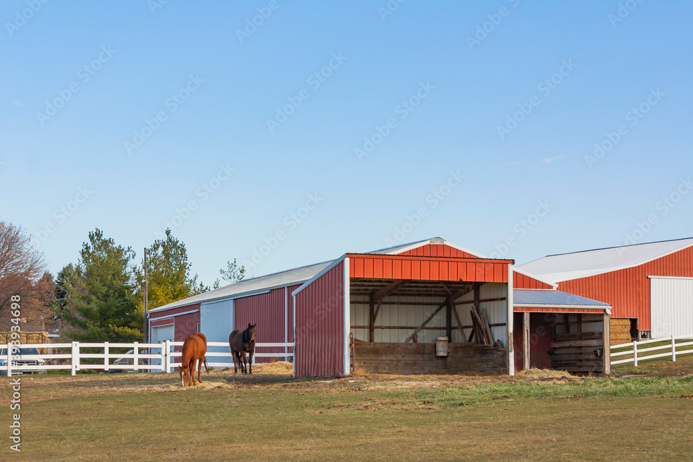 Φωτογραφία Two brown horses next to a run-in shed with red pole shed buildings in the background on a horse farm