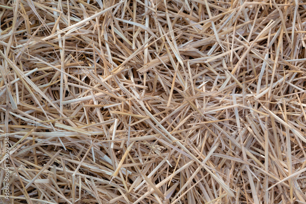 A beveled straw. Close-up. Background A beveled straw. Close-up. Background
