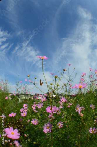sky