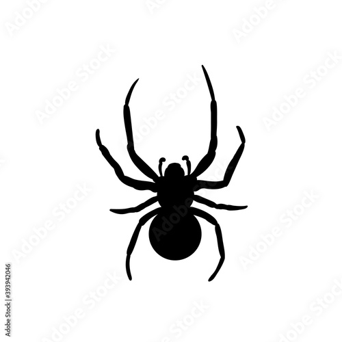 Spider Black Widow. Black bug spider silhouette, isolated white background. Scary Halloween icon, symbol horror, animal arachnid, creepy dangerous insect, arachnophobia fear Vector illustration