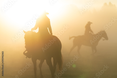 Fototapeta Naklejka Na Ścianę i Meble -  silhouette of cowgirl with lasso on horse at sunrise