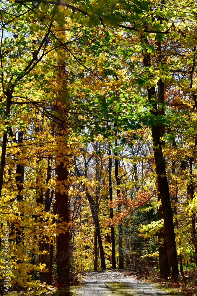 Rural road in Pennsylvania in autumn colors Rural road in Pennsylvania in autumn colors