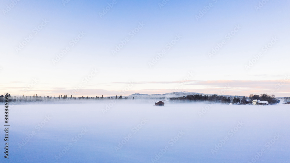 From above view of frozen white field snow capped on north cold weather, bird’s eye view of trees in wood near vast wild lands on getaway destination in winter, fog before sunrise