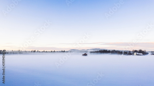 From above view of frozen white field snow capped on north cold weather, bird’s eye view of trees in wood near vast wild lands on getaway destination in winter, fog before sunrise