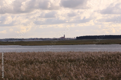 Blick auf den Barther Bodden bei Zingst an der Ostsee photo